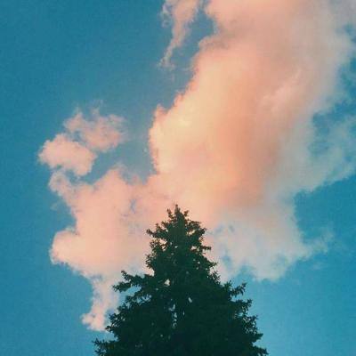 kaiyun体育全站app下载