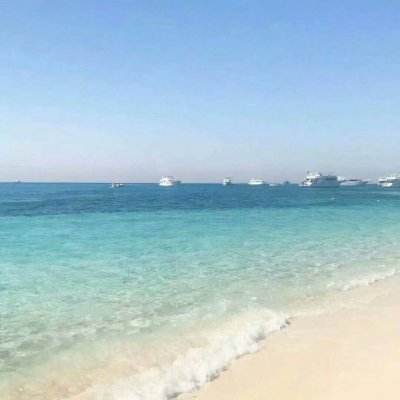 365体育官方唯一入口下载手机版